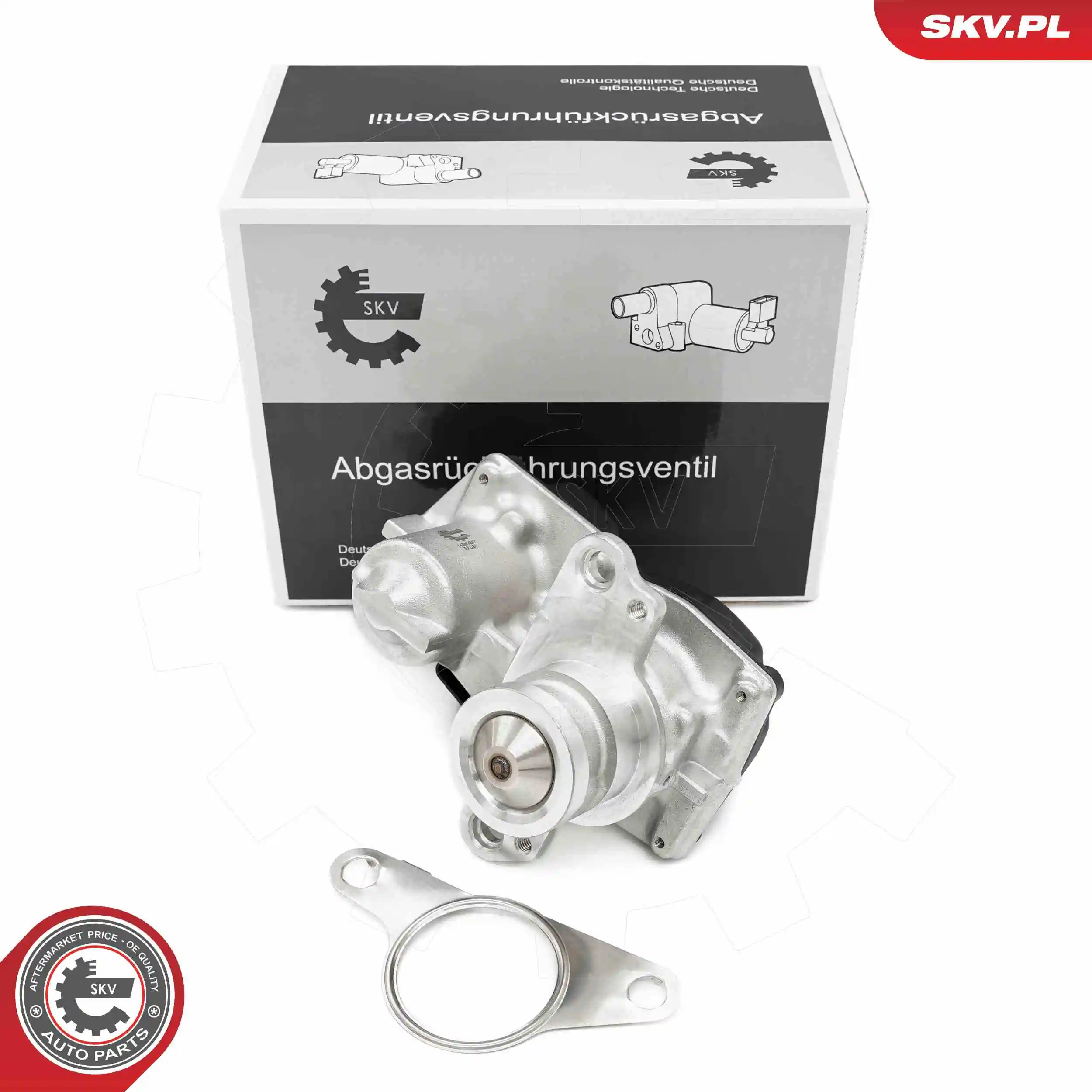 EGR Valve
